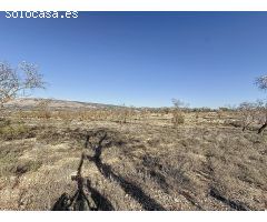 FINCA DE TIERRA SECANA EN PARTIDA EN BIAR ZONA EL COTO