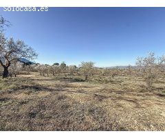 FINCA DE TIERRA SECANA EN PARTIDA EN BIAR ZONA EL COTO