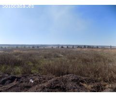 Terreno INDUSTRIAL Sesma