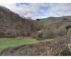 Terreno con Borda