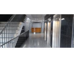 OFICINA DE 150 M Y 90M  UNIDAS O SEPARADAS EN LA CARTUJA