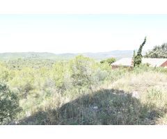 PARCELA  URBANA EN LA BISBAL DEL PENEDES