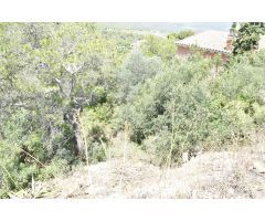 PARCELA  URBANA EN LA BISBAL DEL PENEDES