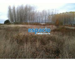 VENTA FINCA EDIFICABLE EN CUBILLOS DEL SIL