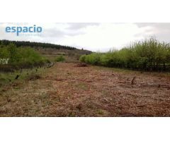 FINCA EN CAMPONARYA 1.350 m2.