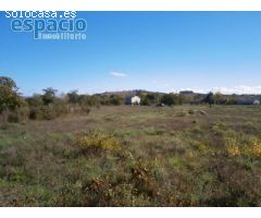 SE VENDE FINCA EN CACABELOS