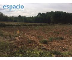 VENTA FINCA EDIFICABLE ARGANZA