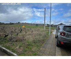 VENTA VIÑA EN LA VALGOMA