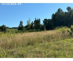 VENTA FINCA URBANA EN ARGANZA