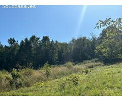 VENTA FINCA URBANA EN ARGANZA