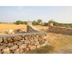 TERRENO EN MANACOR