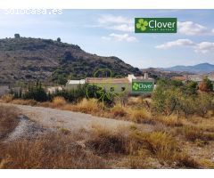 En venta una finca y vivienda en la diputación de Jarales.