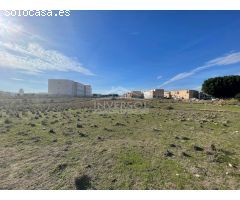 TERRENO URBANIZABLE EN EL EJIDO