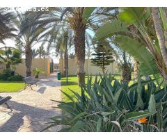 ¡OPORTUNIDAD ÚNICA! VENTA DE SOLAR DE 172 m² EN BALERMA