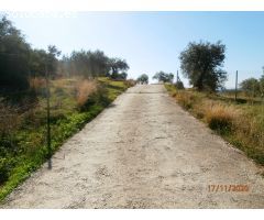 ALQUILER LARGA TEMPORADA, Estupenda Villa con apartamento privado, piscina, zona de barbacoa y ampli
