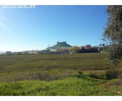 Se vende Finca (Suelo Urbanizable Sectorizado incluida en el PGOU) en Almodóvar del Río, Córdoba