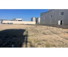 Venta de Parcela en el Polígono de Casas Ibáñez
