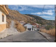 PARCELA URBANA EN COGOLLOS VEGA
