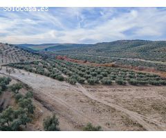 FINCA DE OLIVOS  Y ALMENDROS EN VEGAS DEL GENIL