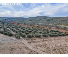 FINCA DE OLIVOS  Y ALMENDROS EN VEGAS DEL GENIL