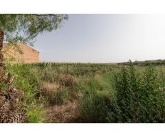 TERRENO AGRÍCOLA