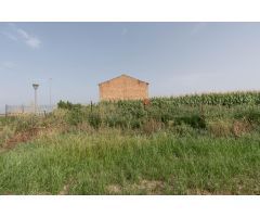 TERRENO AGRÍCOLA