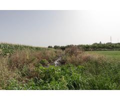 TERRENO AGRÍCOLA