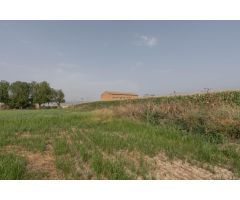 TERRENO AGRÍCOLA