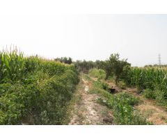 FINCA EN LAS GABIAS