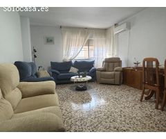 GRAN PISO EN PLANTA BAJA EN LOS ALCÁZARES