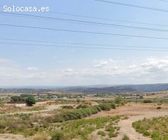 Venta de 3558m de parcela agraria.