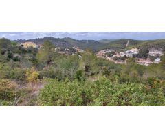 PARCELA EN VENTA EN CASTELLET I LA GORNAL.URBANIZACION LOS ROSALES .