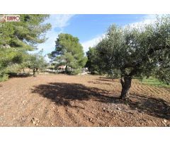 Terreno Urbano para construir Chalet