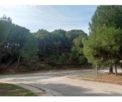 Parcela de 12.000 m2 esquina con C/ Jaras