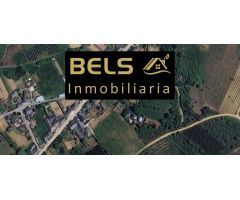 ???? ¡Terreno en venta en Cabañas Raras, El Bierzo! ????