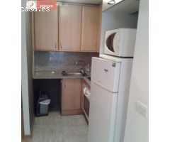 Apartamento de 1 habitación, zona Ppe. Viana - Estación