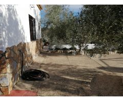 GRAN CASA DE CAMPO EN LA SIERRA CON 1300 OLIVOS¡¡¡
