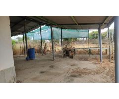 TERRENO EN VENTA EN EL CARPIO