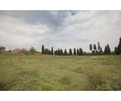 Parcela excepcional para inversores situada en el Baix Empordà