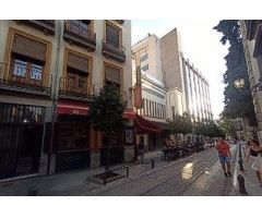 SE VENDE APARTAMENTO EN GRANADA.