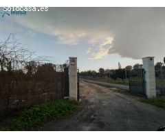 OPORTUNIDAD!!! FINCA DE 4.000 METROS EN GIBRALEON!!