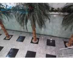 ALQUILER LOCAL CADIZ ZONA AVENIDA