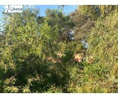 FINCA RUSTICA EN SANLUCAR LA MAYOR