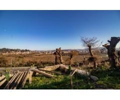 CASA UNIFAMILIAR ( 2viviendas en 1)con terreno en ALBA