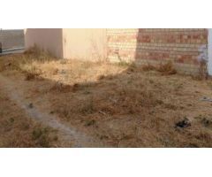 SUELO EN VILLANUEVA DEL ARISCAL