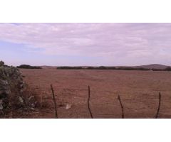 Parcela en Venta en Vejer de la Frontera, Cádiz