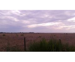 Parcela en Venta en Vejer de la Frontera, Cádiz