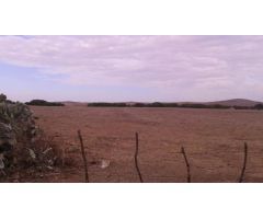 Parcela en Venta en Vejer de la Frontera, Cádiz