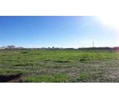 Parcela en Venta en Jerez de la Frontera, Cádiz