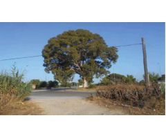 Parcela en Venta en Jerez de la Frontera, Cádiz